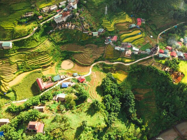 Darjeeling Tea and Mountains